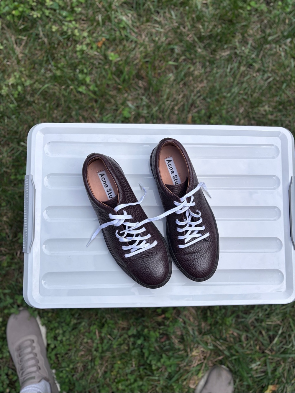 Acne Studios 🐻 Dark Brown Pebble Leather Low-Top Sneakers with White Laces